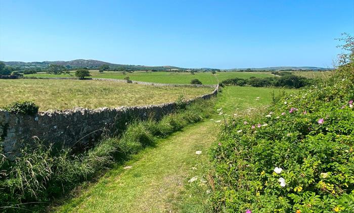 Home Farm dog walk
